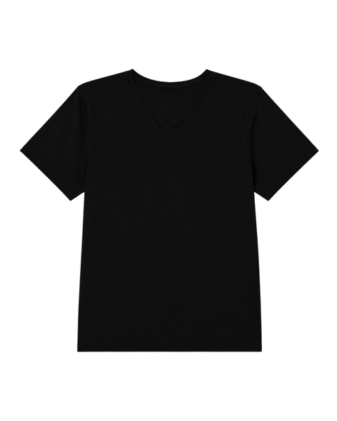 Women's Merino Regular Fit V-Neck Tee